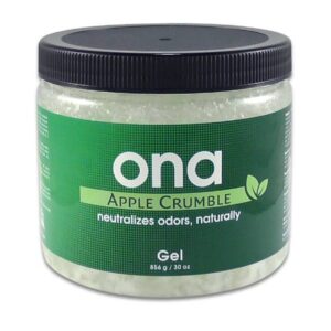 ONA GEL APPLE CRUMBLE 1L (PROFUMO MELA)